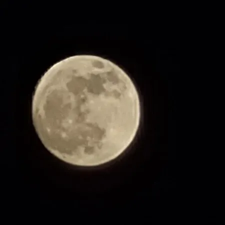 El Rinconcito * Chío